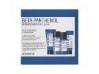 Beta Panthenol Repair Starter Kit